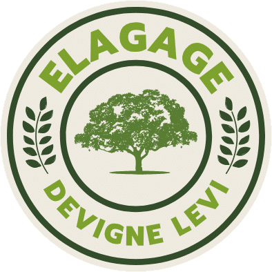 LEVI DEVIGNE ELAGAGE